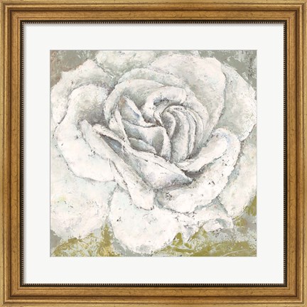 Framed White Rose Blossom Square Print
