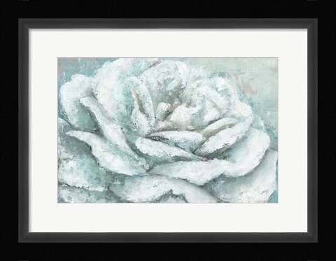 Framed White Rose Splendor Print