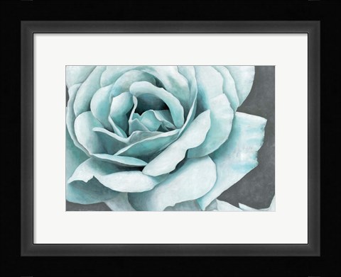 Framed Rose Bloom Print