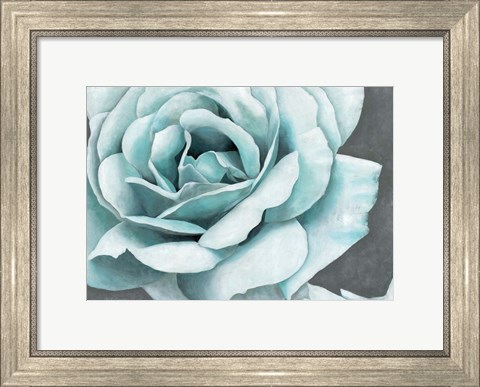 Framed Rose Bloom Print