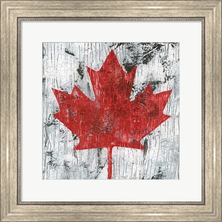 Framed Canada Maple Leaf I Print