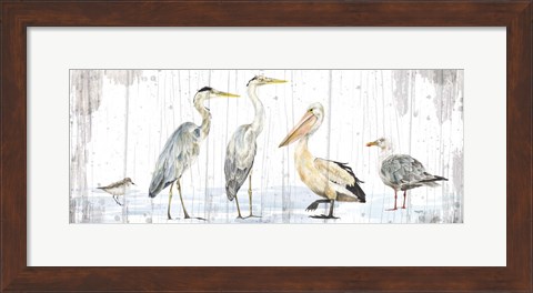Framed Birds of the Coast Rustic Panel Print