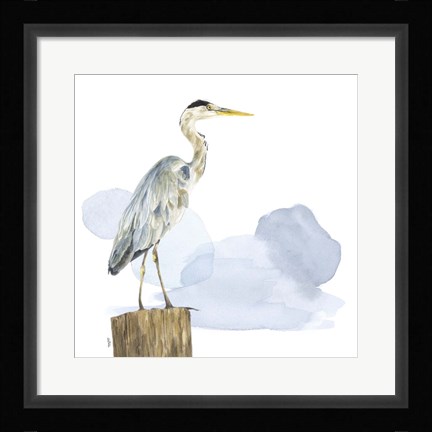 Framed Birds of the Coast on White I Print