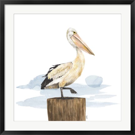Framed Birds of the Coast on White III Print
