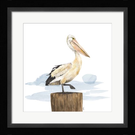 Framed Birds of the Coast on White III Print