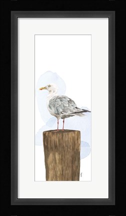 Framed Birds of the Coast Panel IV Print