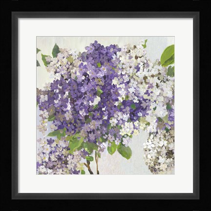 Framed Summer Hydrangea II Print