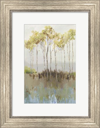 Framed Peaceful Woodland Print