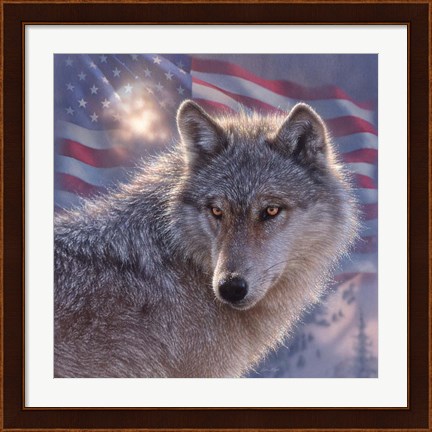 Framed Lone Wolf America Print