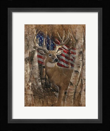 Framed Whitetail Buck America Print