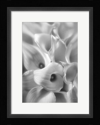 Framed Calla Lilies Print