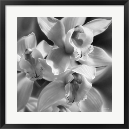 Framed Orchids - B&amp;W Print