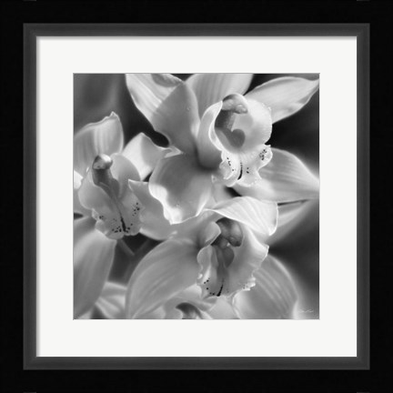 Framed Orchids - B&amp;W Print