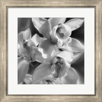 Framed Orchids - B&amp;W Print