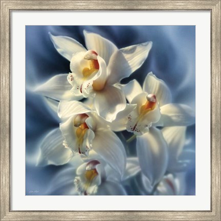 Framed Orchids Print