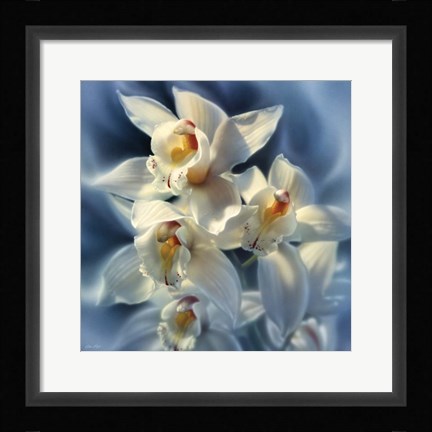 Framed Orchids Print
