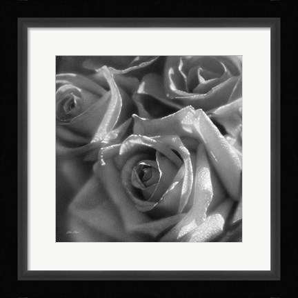 Framed Rose Pedals B&amp;W Print