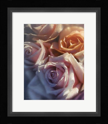 Framed Rose Pedals Print