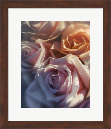 Framed Rose Pedals Print