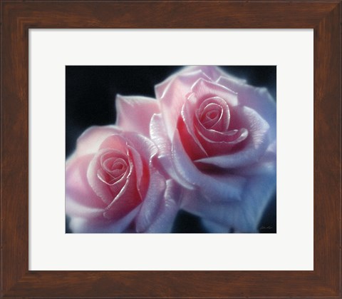 Framed Roses - Pink Pair Print