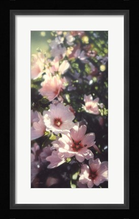 Framed Summer Flowers Print