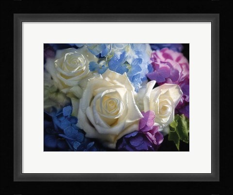 Framed White Roses - Dancing Light Print