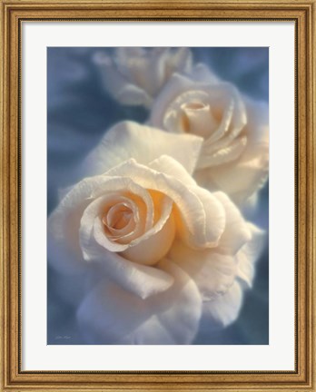 Framed White Roses - Unforgettable Print