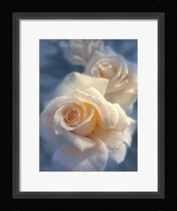 Framed White Roses - Unforgettable Print