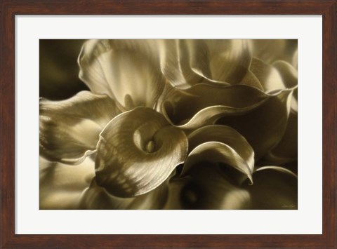 Framed Golden Lilies Print