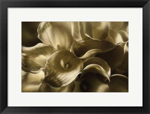 Framed Golden Lilies Print