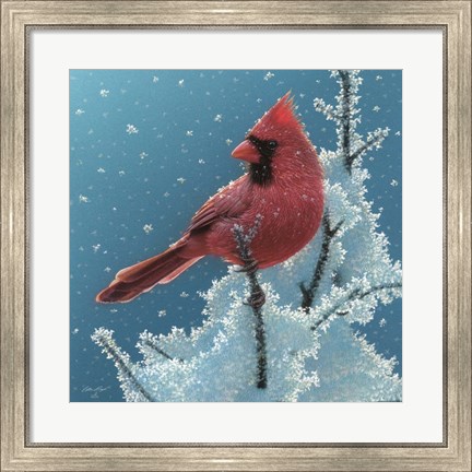 Framed Cardinal - Cherry on Top Print