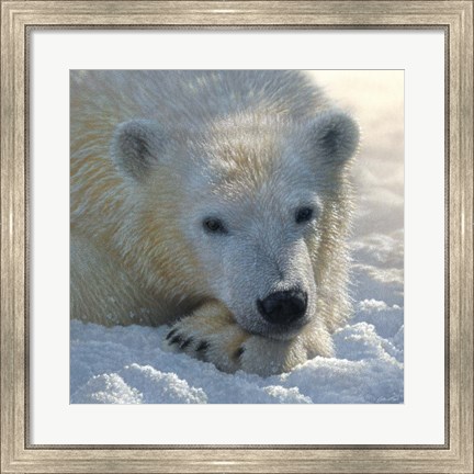 Framed Polar Bear Club Print