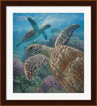 Framed Sea Turtles - Turtle Bay Print