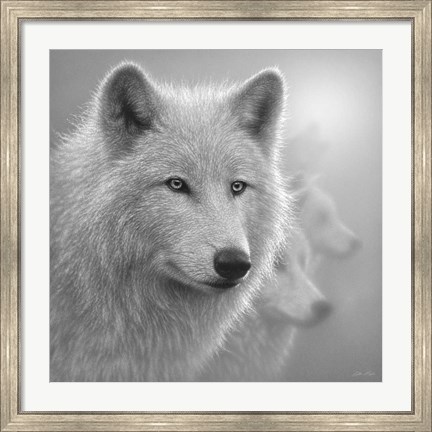 Framed Arctic Wolves - Whiteout - B&amp;W Print