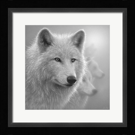 Framed Arctic Wolves - Whiteout - B&amp;W Print