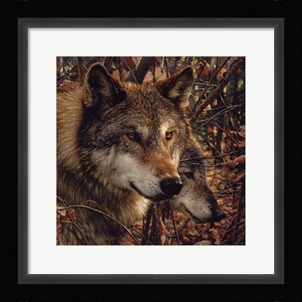 Framed Autumn Wolves Print