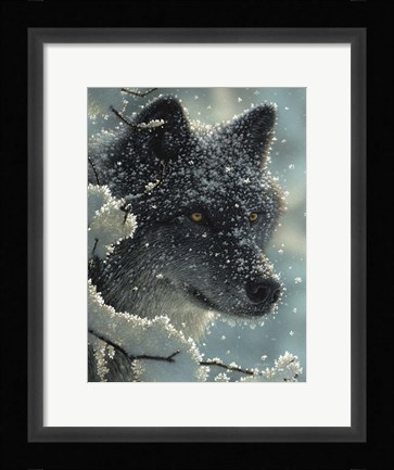 Framed Black Wolf - Black in White Print
