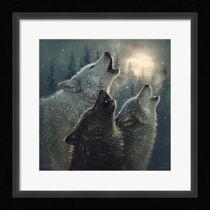 Framed Howling Wolves - In Harmony Print