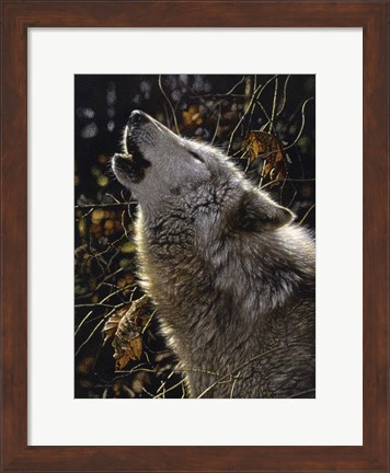 Framed Howling Wolf - Songs of Autumn Print