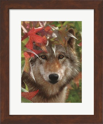 Framed Wolf - Autumn Encounter Print