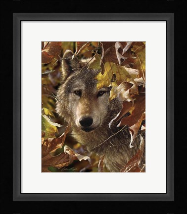 Framed Wolf - Autumn Shadows Print
