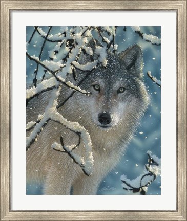 Framed Wolf - Broken Silence Print