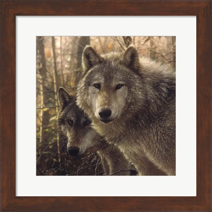 Framed Wolves - Woodland Companions Print