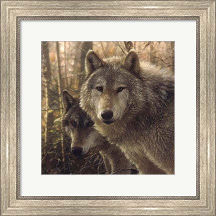 Framed Wolves - Woodland Companions Print