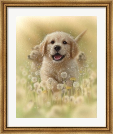 Framed Golden Retriever Puppy - Dandelions Print