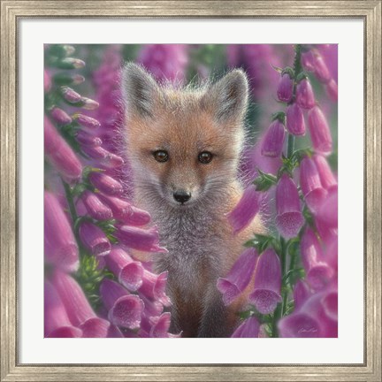 Framed Red Fox - Foxgloves - Square Print