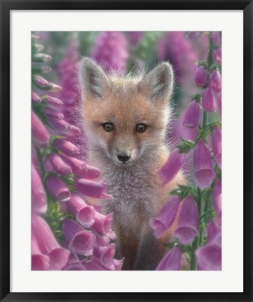 Framed Red Fox - Foxgloves Print