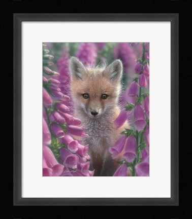 Framed Red Fox - Foxgloves Print
