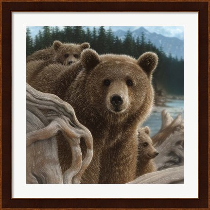 Framed Brown Bears - Backpacking - Square Print