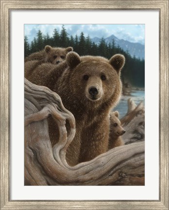 Framed Brown Bears - Backpacking Print